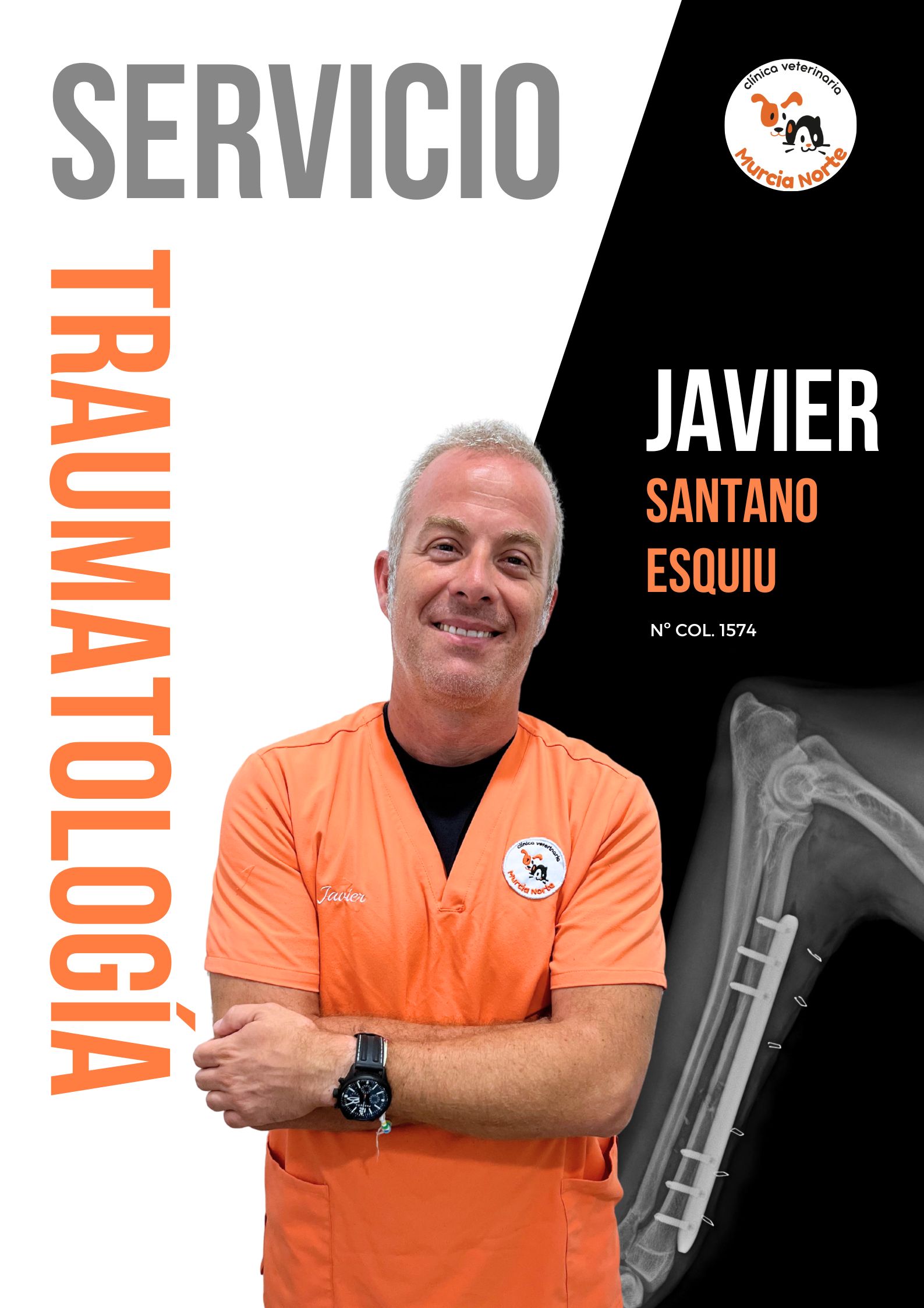 traumatología veterinaria, traumatólogo veterinario en Murcia